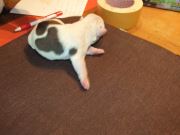 Bild 27